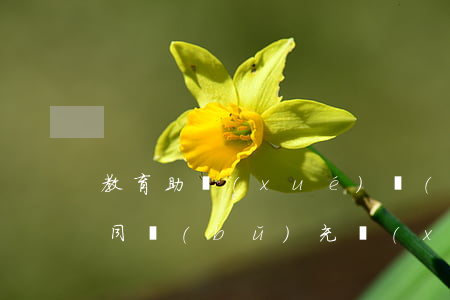 教育助學(xué)擔(dān)保借款合同補(bǔ)充協(xié)議