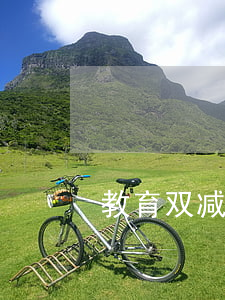 教育双减政策是指什么