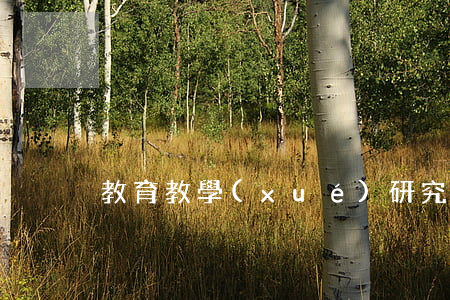 教育教學(xué)研究課題合同書