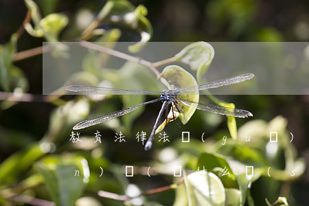 教育法律法規(guī)的人文關(guān)懷(為什么說(shuō)人文關(guān)懷是師德建設(shè)的關(guān)鍵所在)