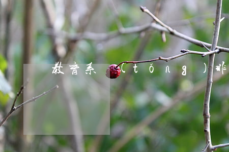 教育系統(tǒng)非正編人員聘用合同