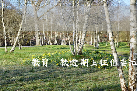 教育貸款逾期上征信(委托貸款逾期上征信嗎)