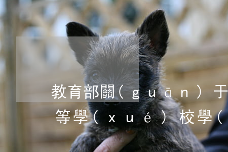 教育部關(guān)于印發(fā)《高等學(xué)校學(xué)生學(xué)籍學(xué)歷電子注冊(cè)辦法》的通知