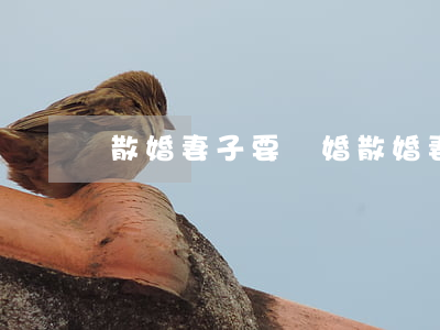 散婚妻子要離婚(散婚妻子要離婚)