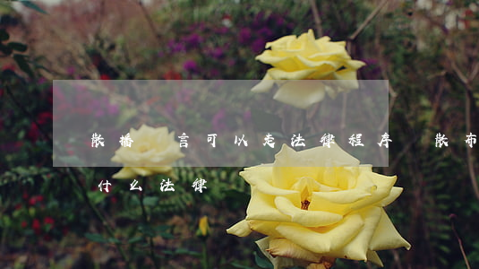 散播謠言可以走法律程序嗎(散布謠言觸犯了什么法律)