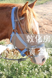 敦化房屋買賣合同糾紛如何處理(敦化房屋買賣合同糾紛如何處理)