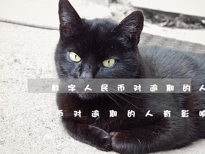 数字人民币对逾期的人有影响吗-数字人民币对逾期的人有影响吗知乎
