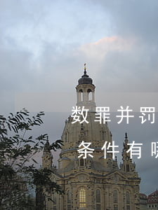 数罪并罚能否适用缓刑，数罪并罚适用缓刑的条件有哪些