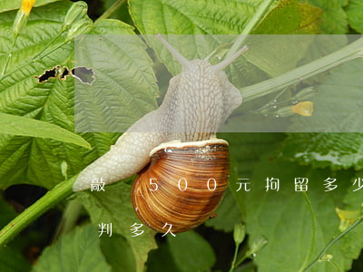 敲詐500元拘留多少天(敲詐1500可以判多久)