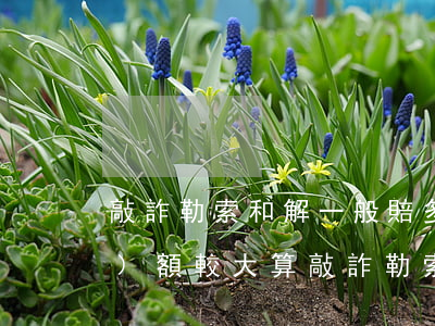 敲詐勒索和解一般賠多少錢(和解數(shù)額較大算敲詐勒索嗎)