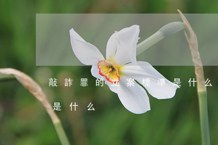 敲詐罪的立案標準是什么（敲詐罪的立案標準是什么）