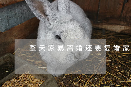 整天家暴离婚还要复婚(家暴复婚后幸福吗)