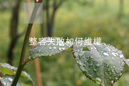 整容失敗如何維權