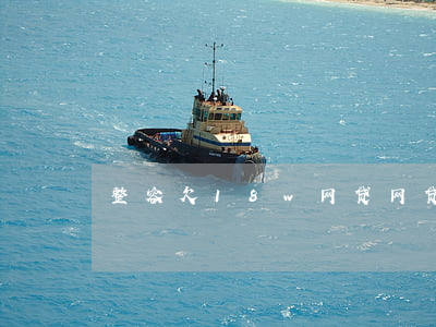 整容欠18w网贷(网贷17万)