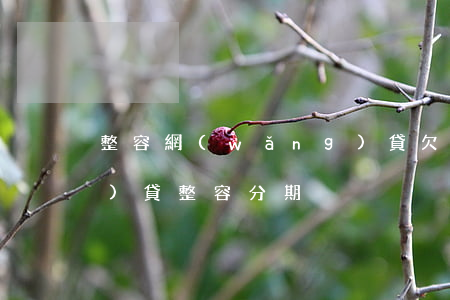 整容網(wǎng)貸欠6萬(網(wǎng)貸整容分期)