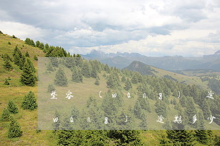 整容網(wǎng)貸逾期會不會坐牢(網(wǎng)貸逾期多少會判刑)