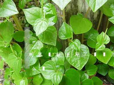 整容貸款逾期不還會怎樣(整容貸款不還會怎么樣)