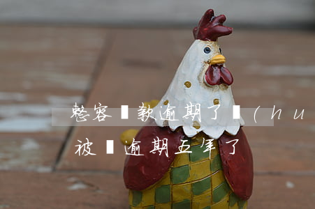 整容貸款逾期了會(huì)怎么樣(美容貸被騙逾期五年了)