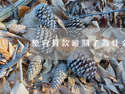 整容貸款逾期了為什么借不了錢