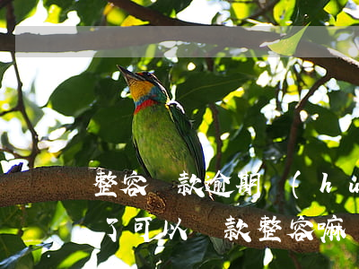 整容貸款逾期會(huì)上征信嗎(征信黑了可以貸款整容嘛)