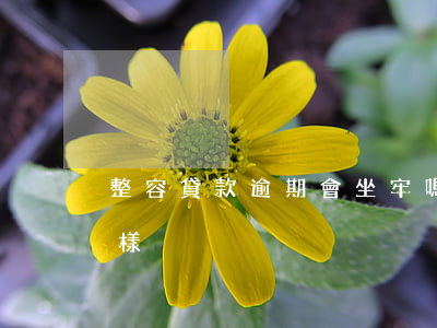 整容貸款逾期會坐牢嗎(整容貸逾期不還會怎樣)