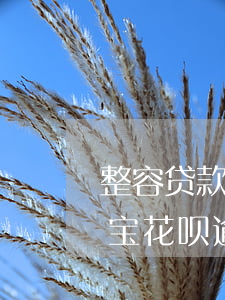 整容贷款支付宝花呗逾期了-整容贷款支付宝花呗逾期了怎么办