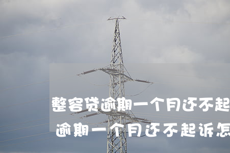 整容贷逾期一个月还不起诉怎么办-整容贷逾期一个月还不起诉怎么办呢