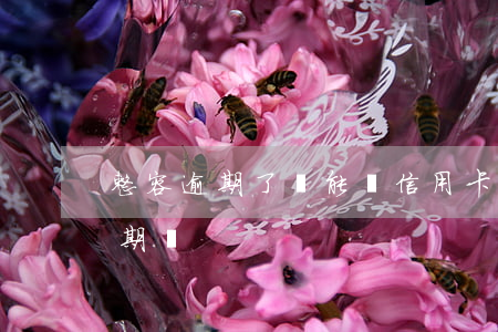 整容逾期了還能辦信用卡 有逾期能辦整容分期嗎