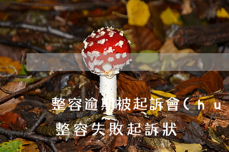 整容逾期被起訴會(huì)通知家人嘛-整容失敗起訴狀