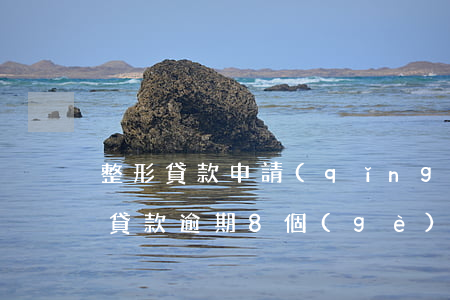 整形貸款申請(qǐng)逾期可以嗎(整容貸款逾期8個(gè)月)