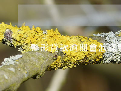 整形貸款逾期會怎樣(整形貸款容易過嗎)