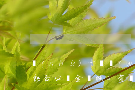 數(shù)十筆網(wǎng)貸無逾期能否公積金貸款-有網(wǎng)貸無逾期可以公積金貸款嗎