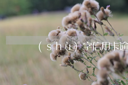 數(shù)字信用卡逾期怎么辦