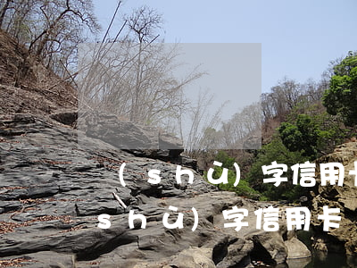 數(shù)字信用卡逾期會怎樣(啥叫數(shù)字信用卡)