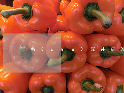 數(shù)罪并罰的原則是什么？