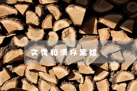 文秀和溥仪离婚
