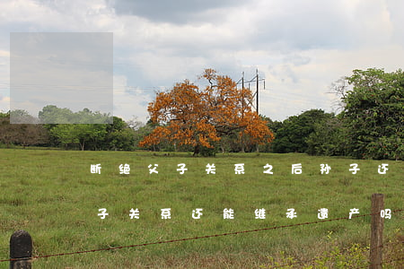断绝父子关系之后孙子还有继承权吗(断绝父子关系还能继承遗产吗?)