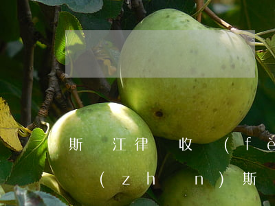 斯偉江律師收費(fèi)標(biāo)準(zhǔn)(斯偉江律師 如何聯(lián)系)
