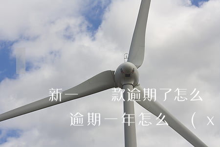 新一貸貸款逾期了怎么協(xié)商(新一貸逾期一年怎么協(xié)商)