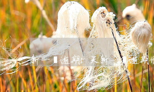 新一貸逾期5天(新一貸逾期催收厲害嗎)