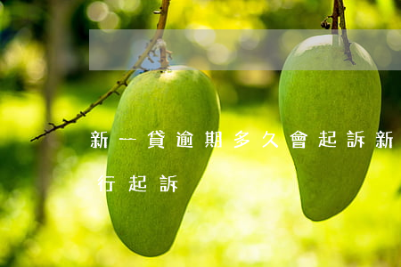 新一貸逾期多久會起訴(新一貸逾期三期被銀行起訴)
