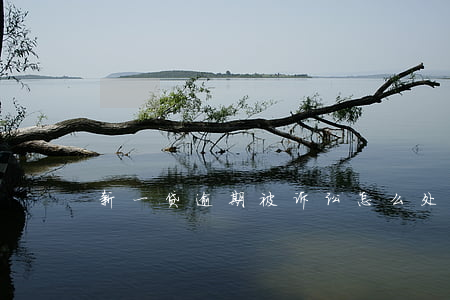 新一贷逾期被诉讼怎么处理（新一贷逾期四年）