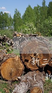 新三板依據(jù)的法律法規(guī)(新三板法律法規(guī)有哪些)