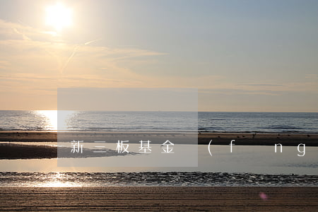 新三板基金風(fēng)控的重要性