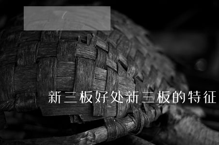 新三板好处(新三板的特征是什么)