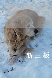 新三板定增,律師能做什么