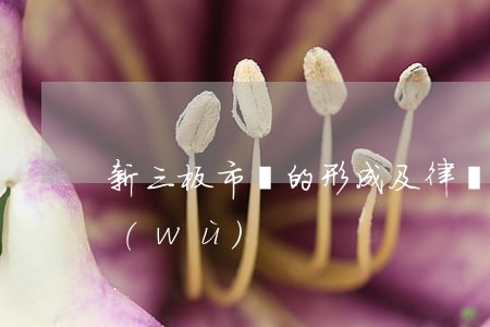 新三板市場的形成及律師法律業(yè)務(wù)