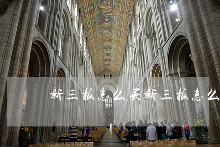 新三板怎么买(新三板怎么买入)
