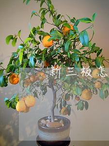 新三板怎么買(新三板怎么買入)