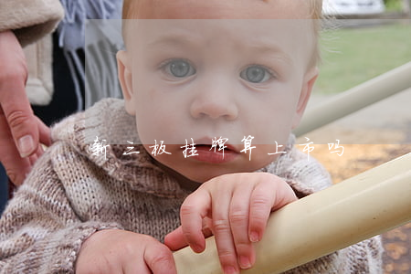 新三板挂牌算上市吗